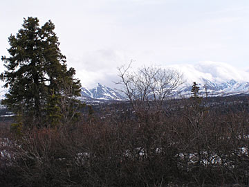 Alaska